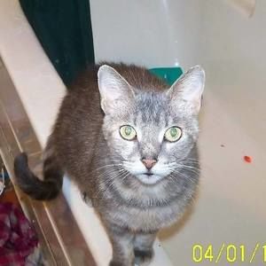 Meet your Posher, Dan